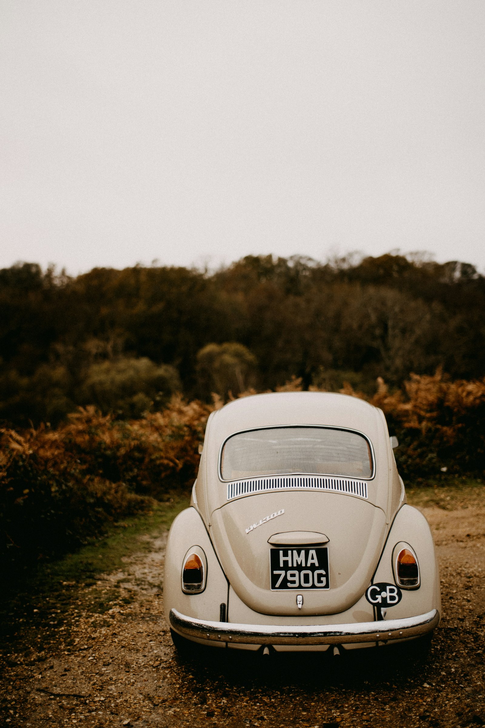 Beetle en camino rural