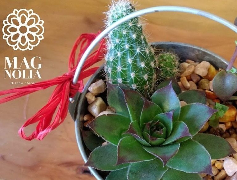 Pack novia · ramo + tocado + boutonnière